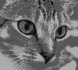 CLASSIC — 4階調の白黒ドットで表現した猫の参考イメージ