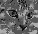 4階調の白黒ドットで表現した猫の参考イメージ
