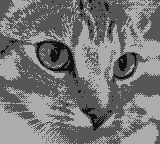 SOFT — 4階調の白黒ドットで表現した猫の参考イメージ